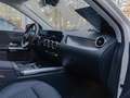 Mercedes-Benz B 250 e Progressive/LED/Cam/AHK/Distr/Winter/17" Weiß - thumbnail 7