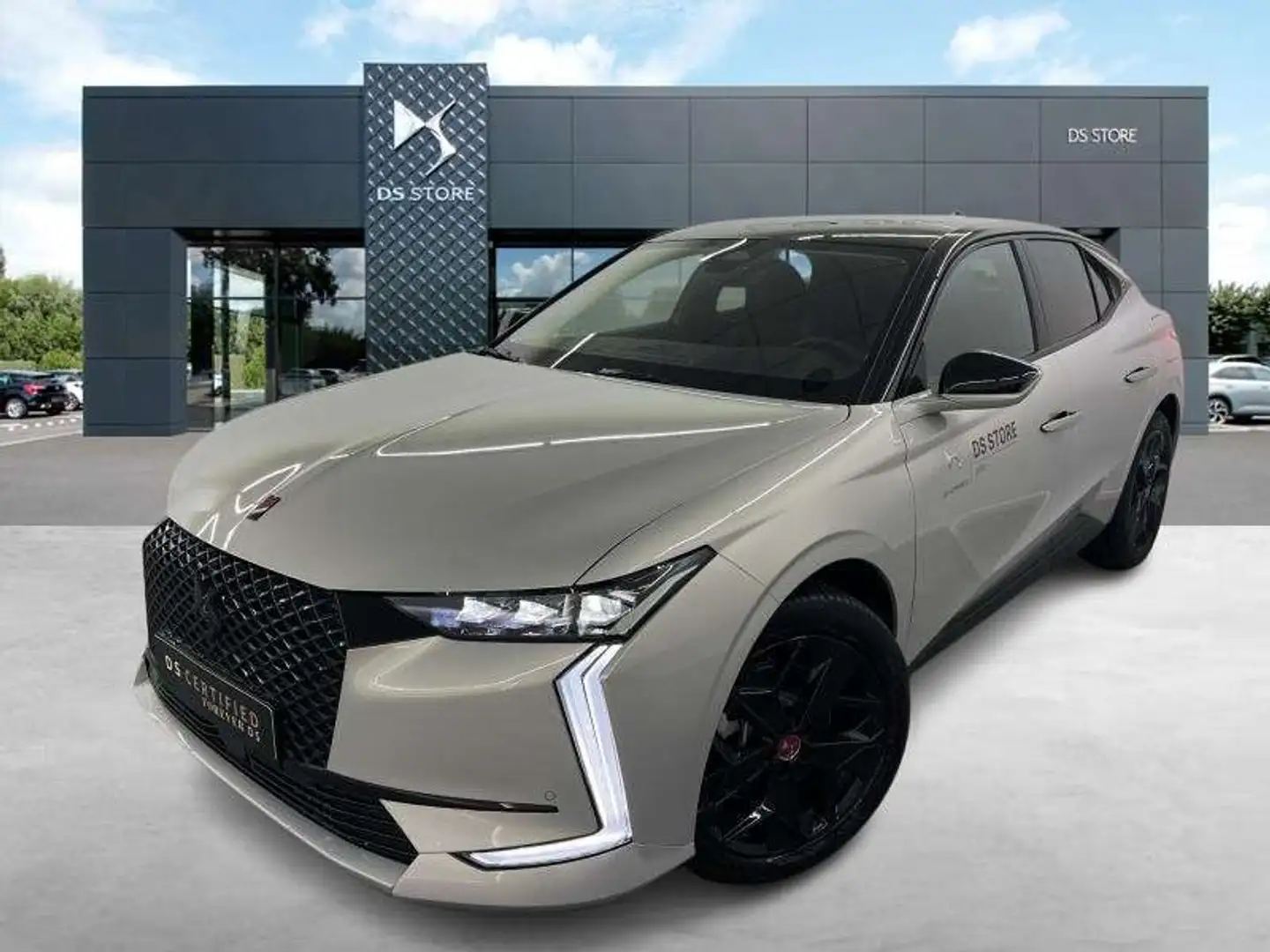 DS Automobiles DS 4 PERFORMANCE LINE + E-TENSE 225 Gris - 1