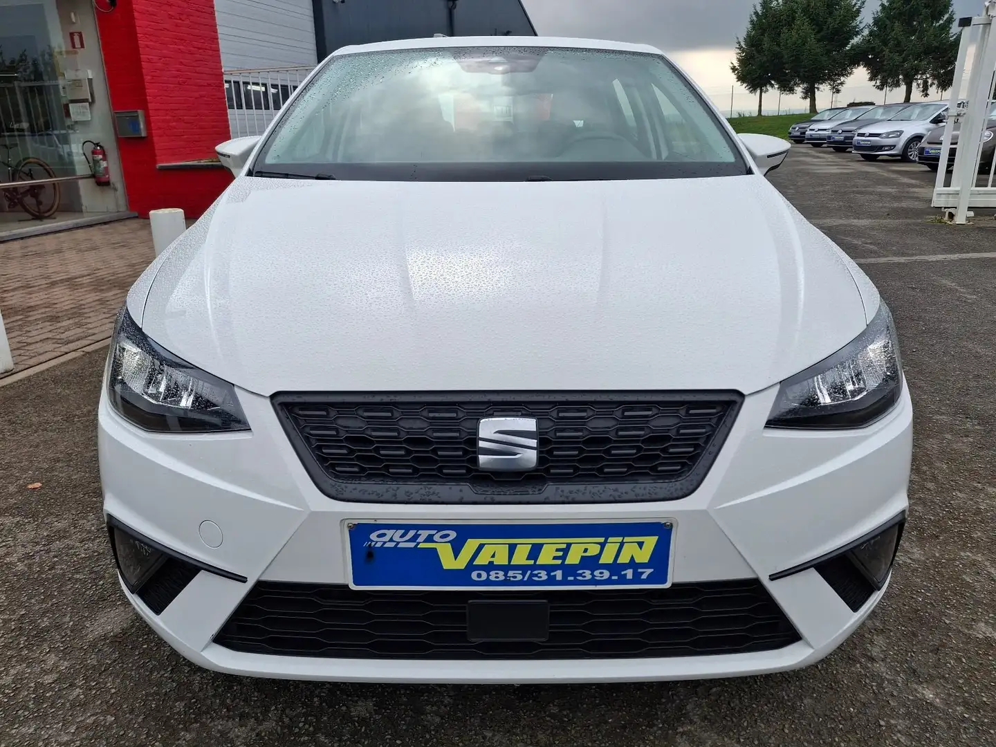 SEAT Ibiza 5Ptes 1.0i 80cv Reference Blanc - 2