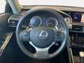 Lexus IS 300 300h Executive Gris - thumbnail 12