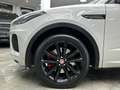 Jaguar E-Pace E-PACE 2.0 D180 R-Dynamic S AWD Keyless Pano LED Grau - thumbnail 28
