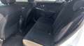 Kia Sportage Sportage 1.7 crdi PERFETTA - 2015 Weiß - thumbnail 21