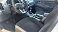 Kia Sportage Sportage 1.7 crdi PERFETTA - 2015 Weiß - thumbnail 10