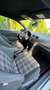 Volkswagen Polo GTI Polo 1.8 TSI (Blue Motion Technology) DSG GTI Wit - thumbnail 7