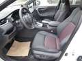Toyota RAV 4 2,5 Hybrid PHEV Executive AWD Weiß - thumbnail 7
