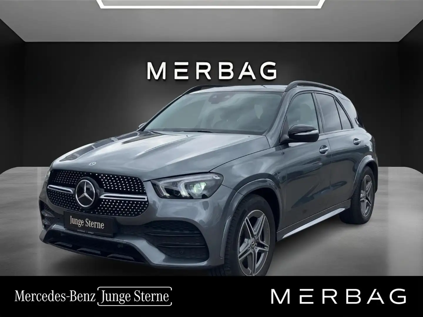 Mercedes-Benz GLE 350 de 4MATIC Grau - 1