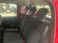 Fiat Panda Panda III 2021 1.0 firefly hybrid City Life s Rosso - thumbnail 12