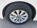 SEAT Ibiza 1.0 TSI S&S Style 85kW Blanco - thumbnail 16