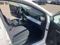 SEAT Ibiza 1.0 TSI S&S Style 85kW Blanco - thumbnail 12