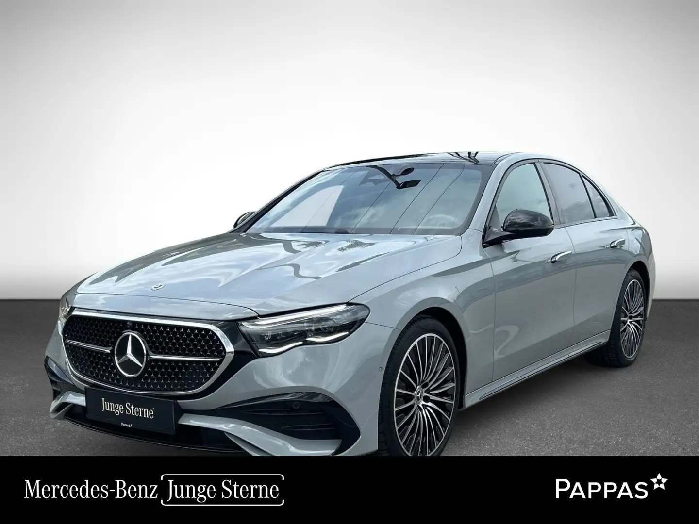 Mercedes-Benz E 220 d Limousine LED PTS Pano Cam SHZ EASY-PACK Grau - 1