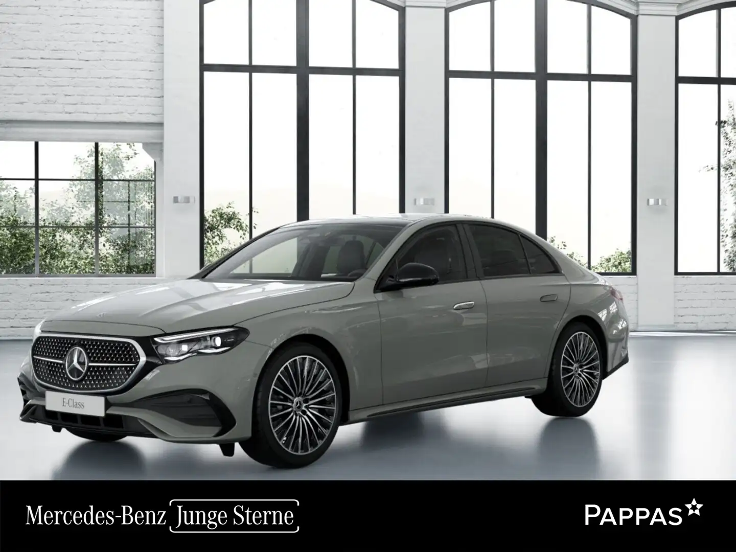 Mercedes-Benz E 220 d Limousine LED PTS Pano Cam SHZ EASY-PACK Grau - 1