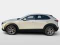 Mazda CX-30 2.5L G 140ps 6MT 2WD EXCLUSIVE-LINE Weiß - thumbnail 6