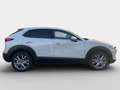 Mazda CX-30 2.5L G 140ps 6MT 2WD EXCLUSIVE-LINE Weiß - thumbnail 3