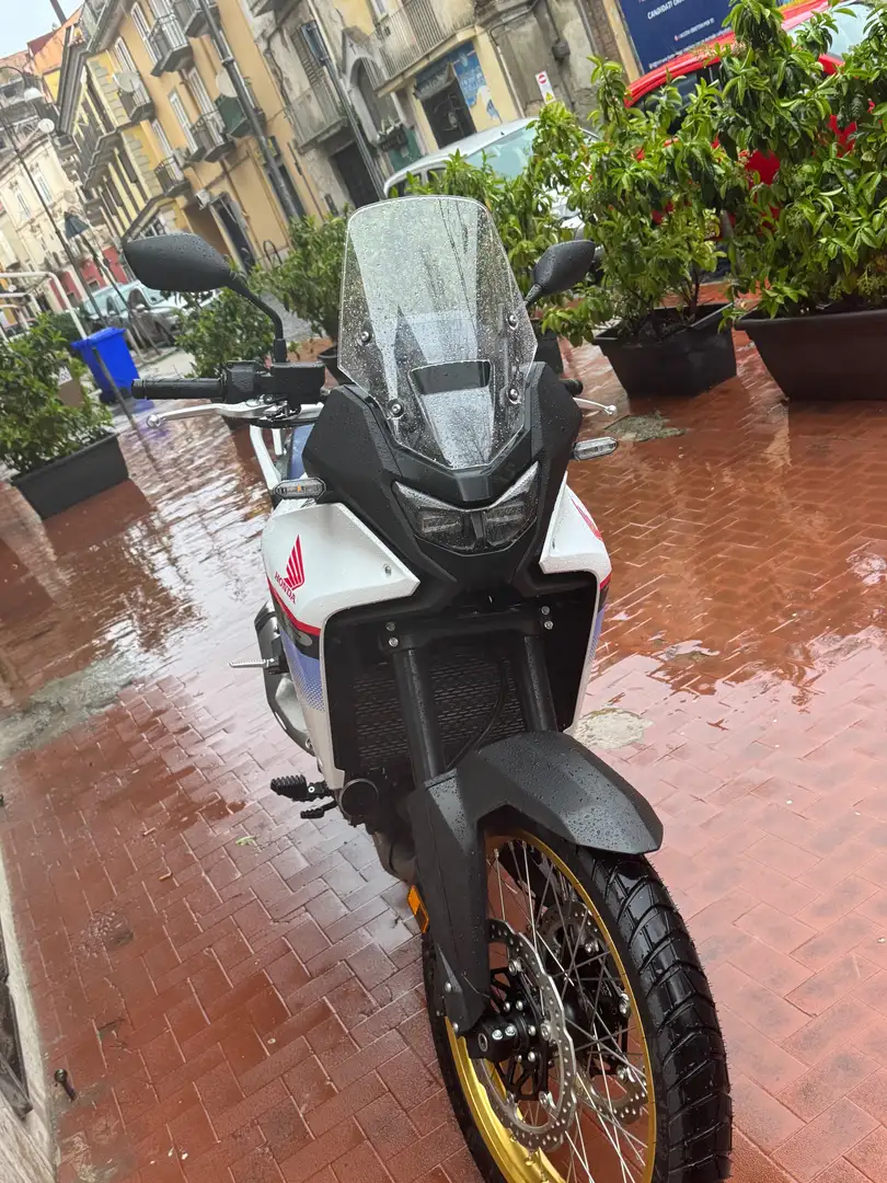 Honda XL 750 Transalp 2025 Bianco - 2