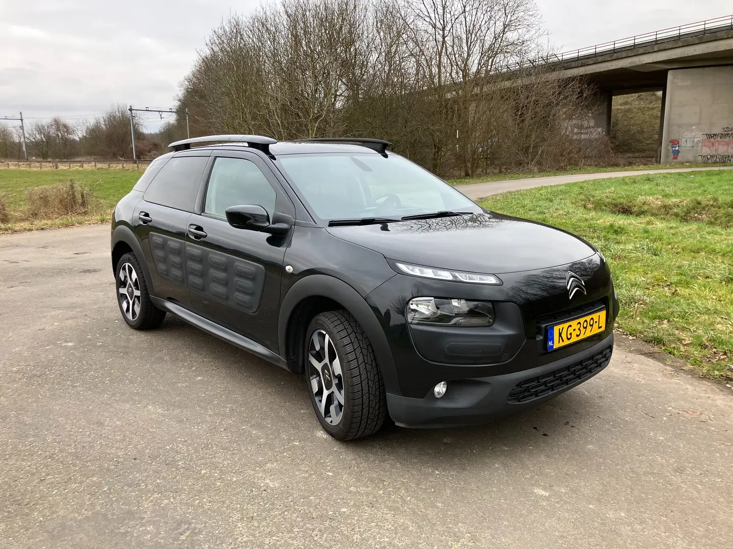 Citroen C4 Cactus C4 Cactus 1.2 PureTech Shine Zwart - 2