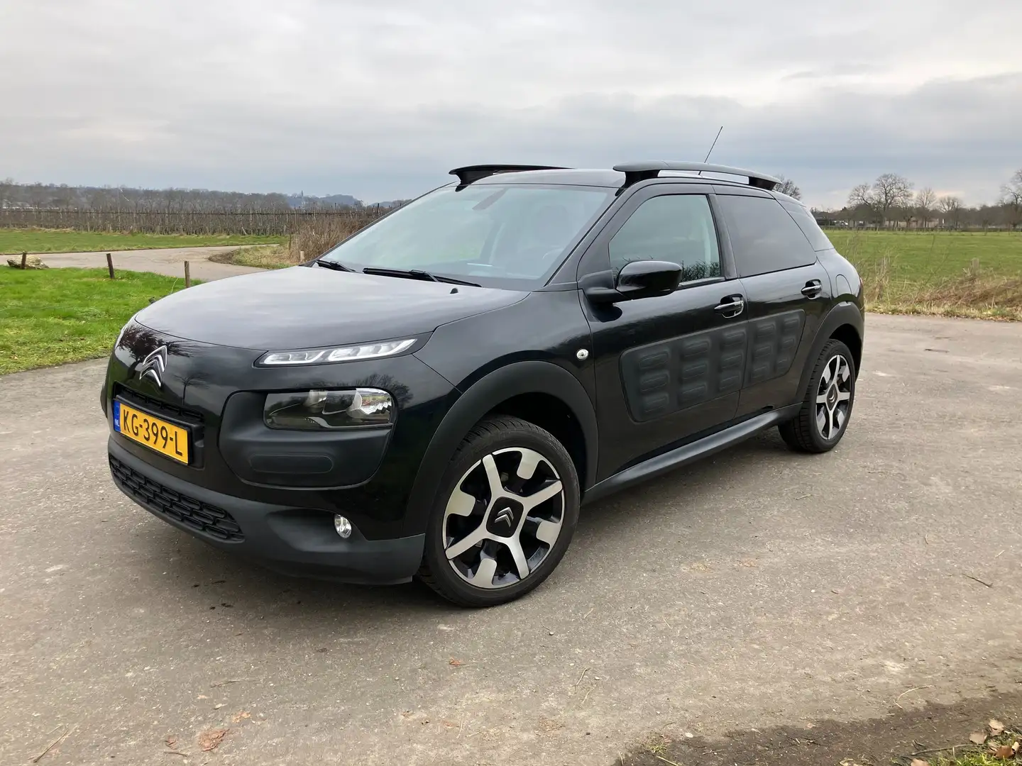 Citroen C4 Cactus C4 Cactus 1.2 PureTech Shine Zwart - 1