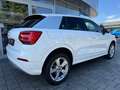 Audi Q2 Sport 1.0 TFSI ultra S tronic LED ACC Weiß - thumbnail 15