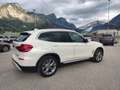 BMW X3 xDrive20d xLine Bianco - thumbnail 6