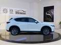 Mazda CX-5 Sports-line AWD, abnehmb. AHK Weiß - thumbnail 2