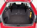 Skoda Octavia Combi 1,0 TSI Ambition "NAVI, AHV" Rot - thumbnail 23