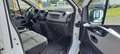 Renault Trafic FURGONE ISOTERMICO Bianco - thumbnail 13