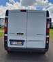Renault Trafic FURGONE ISOTERMICO Bianco - thumbnail 7