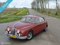 Jaguar MK II Mk2 3.8 overdrive Rot - thumbnail 2