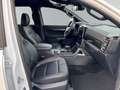 Ford Ranger Ranger Doppelkabine Wildtrak e-4WD 2.3 EcoBoost... Weiß - thumbnail 10