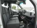 Mercedes-Benz Sprinter 316 CDI Pritsche/Plane DoKa L2 Standhzg Bianco - thumbnail 7