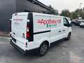 Fiat Talento Kasten L1H1 1,2t SX,Pharmaausbau+Klima - thumbnail 5