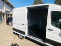 Ford Transit Kasten 2,0 EcoBlue L2H2 290 Startup Weiß - thumbnail 16