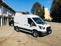 Ford Transit Kasten 2,0 EcoBlue L2H2 290 Startup Weiß - thumbnail 11
