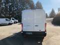 Ford Transit Kasten 2,0 EcoBlue L2H2 290 Startup Weiß - thumbnail 15