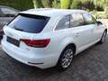 Audi A4 A4 Avant 35 TFSI Design AHK Xenon Navi Weiß - thumbnail 6
