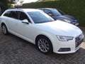 Audi A4 A4 Avant 35 TFSI Design AHK Xenon Navi Weiß - thumbnail 1