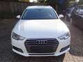 Audi A4 A4 Avant 35 TFSI Design AHK Xenon Navi Weiß - thumbnail 2