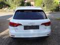 Audi A4 A4 Avant 35 TFSI Design AHK Xenon Navi Weiß - thumbnail 5