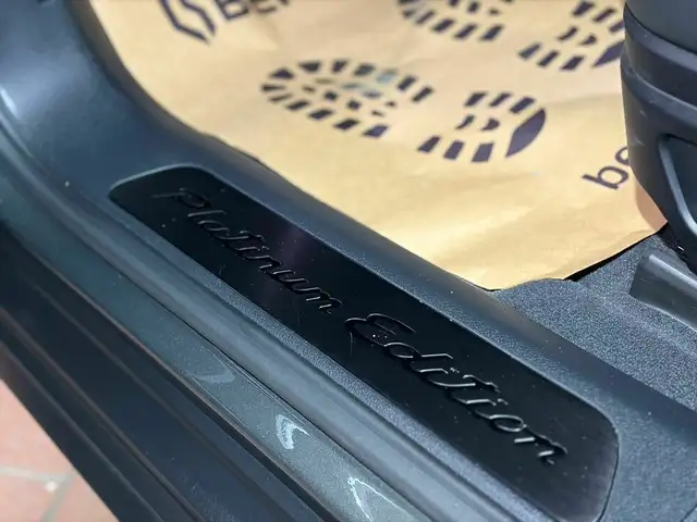 Porsche Panamera 4 E-Hybrid Platinium Edition Ansicht 14