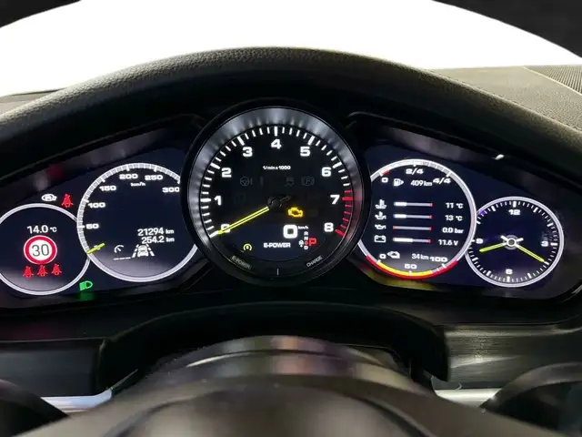 Porsche Panamera 4 E-Hybrid Platinium Edition Ansicht 12