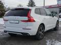 Volvo XC60 2.0 R Design AWD LED Navi ACC Kamera AHK Weiß - thumbnail 5