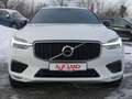 Volvo XC60 2.0 R Design AWD LED Navi ACC Kamera AHK Weiß - thumbnail 7
