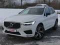 Volvo XC60 2.0 R Design AWD LED Navi ACC Kamera AHK Weiß - thumbnail 2