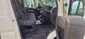 Fiat Ducato CASSONE E SPONDA CARICATRICE 2.2 MJT 140 CV Blanc - thumbnail 9