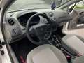 SEAT Ibiza Ibiza Chili 1,2 Chili Weiß - thumbnail 12