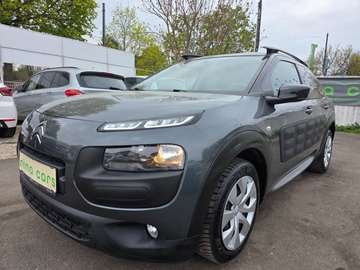 C4 Cactus 1,2 VTI82 Feel Feel