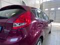 Ford Fiesta Fiesta VI 2009 5p 1.2 GPL Titanium Rot - thumbnail 8