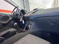 Ford Fiesta Fiesta VI 2009 5p 1.2 GPL Titanium Rot - thumbnail 14