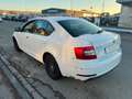 Skoda Octavia 1.6 TDI *limo*2017* Weiß - thumbnail 8