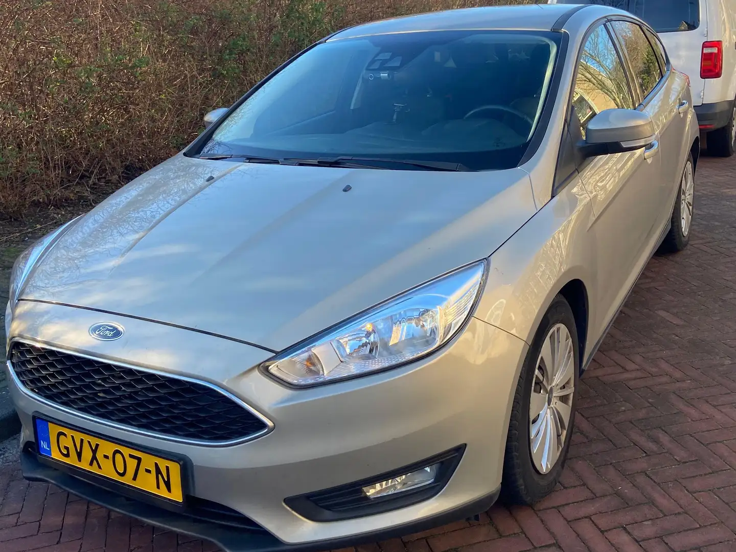 Ford Focus Focus 1.0 Titanium Grijs - 1