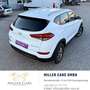 Hyundai TUCSON Tucson 1,7 CRDI Start-Stopp Go DCT*Servicegepfl... Weiß - thumbnail 4